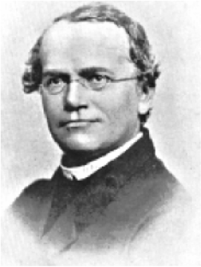 Gregor Mendel